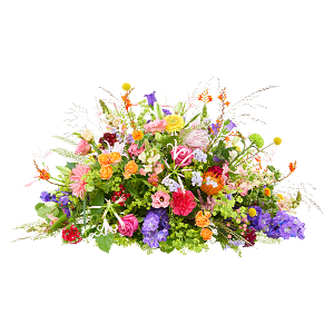 Media 1 - Funeral - Colour splendor
