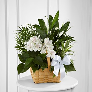 Media 1 - Peace And Serenity Dishgarden