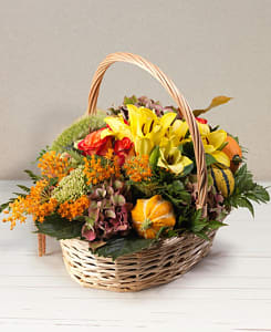 Media 1 - Autumn Basket