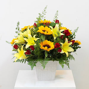 Media 1 - Yellow and Red Arrangement
