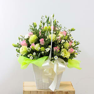 Media 1 - Pink and Lime Green with white