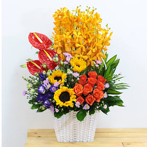 Media 1 - Stunning mixed colour arrangement