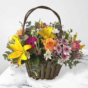 Media 1 - Burst of Spring