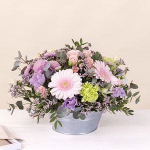 Media 2 - Pastel bloom