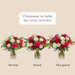 Media 3 - Adorable roses