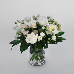 Media 1 - White and Pink Roses
