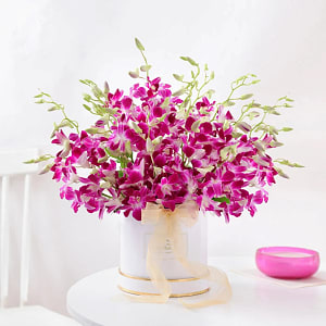 Media 1 - Purple Orchid Elegance