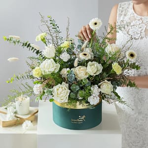 Media 1 - Meadow in a Box