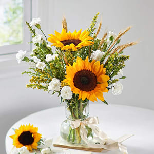 Media 1 - Pocketful of Sunshine