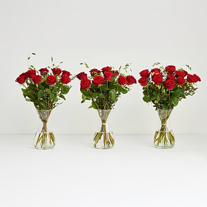 Media 4 - The red roses