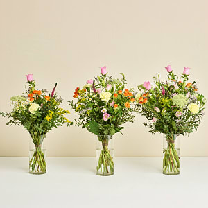 Media 4 - Bouquet, Florist's Choice