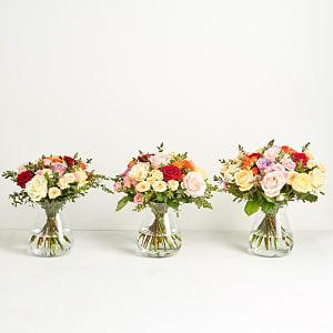 Media 3 - The colorful roses