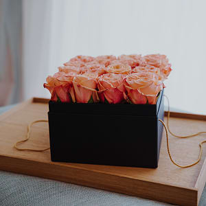 Media 4 - Blumenbox «Marseille» (20 cm)