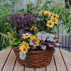 Media 1 - Pflanzenschale Indian Summer-Garden