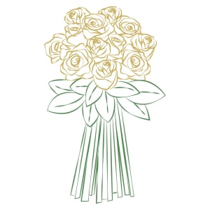 12 Long stemmed roses