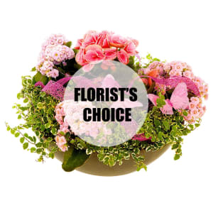 Florist\'s choice planting in a low bowl