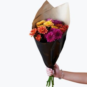 Media 1 - Chrysanthemum for Fall Small 240413