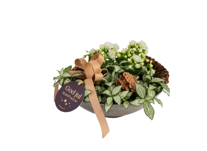 White Christmas 240544