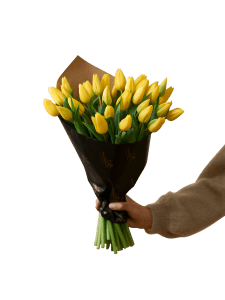 Easter Tulips 240131