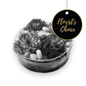 Arrangement of Plants - Florist’s Choice