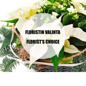 White Christmas planting, florist\'s choice