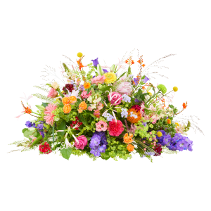 Funeral - Colour splendor