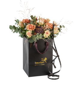 Christmas Classic Soft 240505