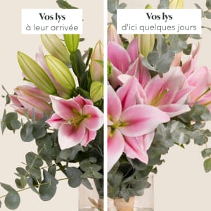 Media 3 - Our beautiful lilies