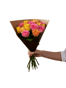 Roses for spring 242625