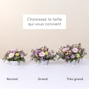 Media 3 - Pastel bloom and teddy bear