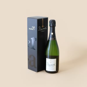 Media 3 - Pastel bloom and champagne