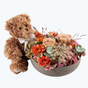 Media 1 - Autumn Bowl and Teddy 240521
