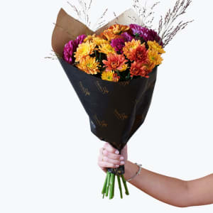 Media 1 - Autumn Chrysanthemum 240414