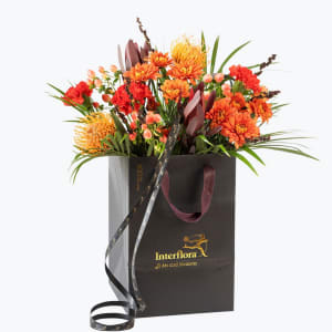 Media 1 - Autumn Bright Medium 240405