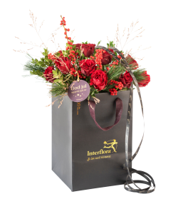 Christmas red Classic 240502