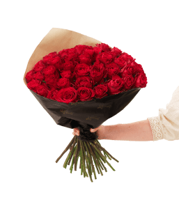 Red roses 50 242686