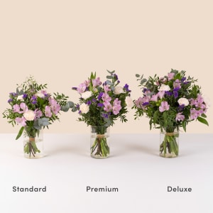 Media 2 - Serenidade Lilas