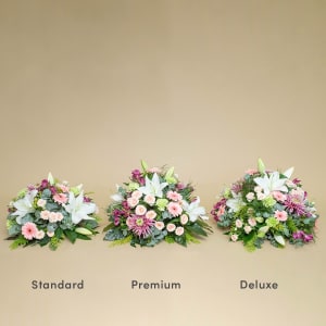 Media 3 - Pink Composition