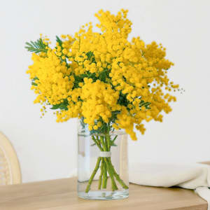 Radiant Mimosa Bouquet