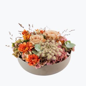 Media 1 - Autumn Bowl 240425