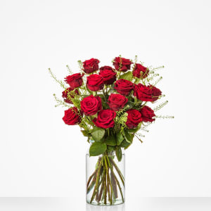 Media 2 - Lovely red roses