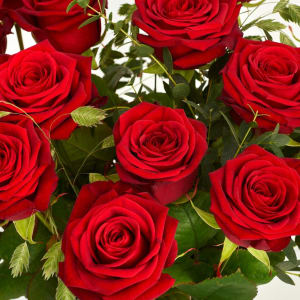 Media 2 - The red roses