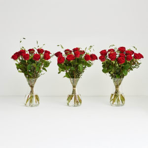 Media 4 - The red roses