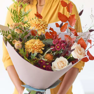 Media 1 - The Calming Chrysanthemums