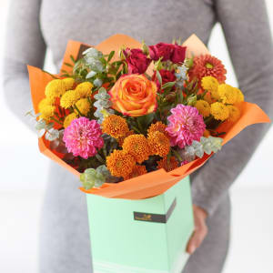 Media 1 - The Dahlia Delight