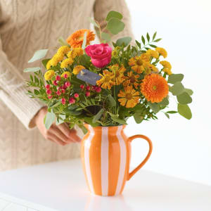 Media 1 - The Jug of Joy