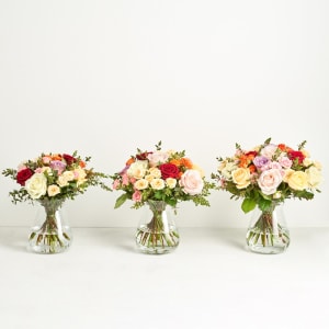 Media 3 - The colorful roses