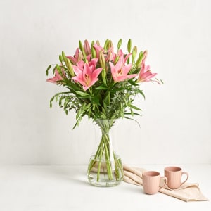 Media 3 - The Pink Lillies