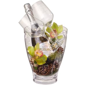 Exotische Winterpoesie mit Prosecco Albino Armani DOC (75 cl) inkl. Eiskühler und zwei Connaisseur-Gläsern