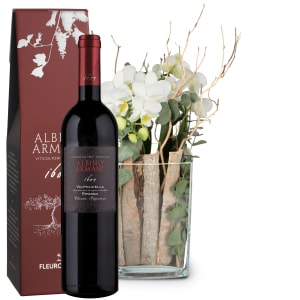Indoor plant «Lifestyle» (orchid in vase) with Ripasso Albino Armani DOC (75 cl)